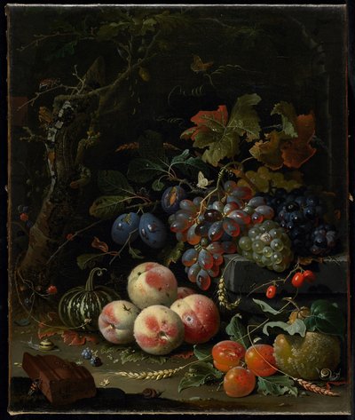 Still Life with Fruit, Foliage and Insects by Abraham Mignon